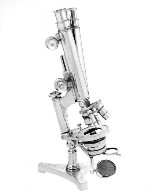 Beck binocular compound microscope