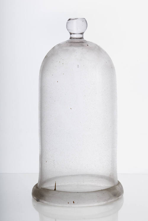 bell jar