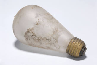 frosted light bulb