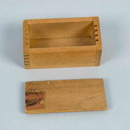 wooden microscope slide box