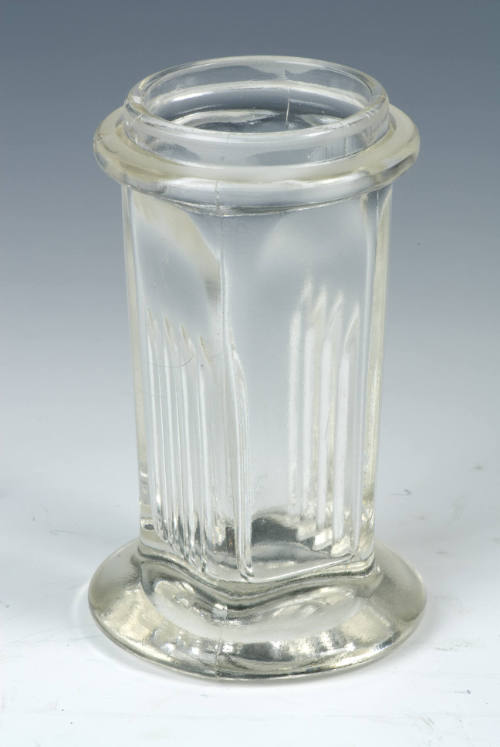 Coplin's staining dish