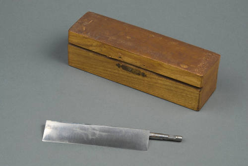 microtome knife